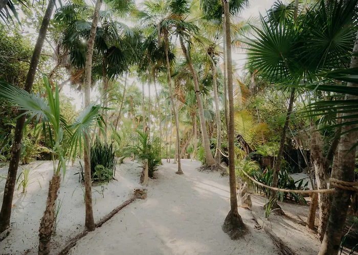 Luxury Loft With Pools, Gym, Rooftop And Panoramic Jungle Views Tulum